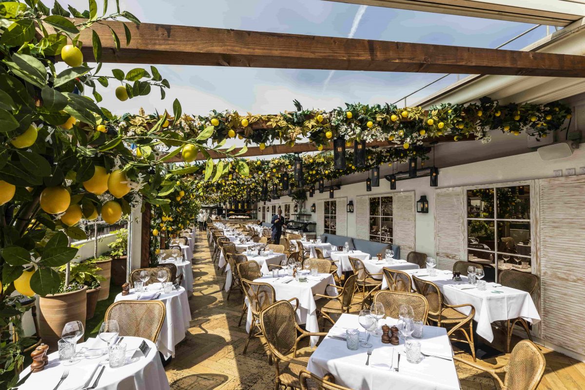 Alto Rooftop Restaurant Unique Italian Cuisine San Carlo