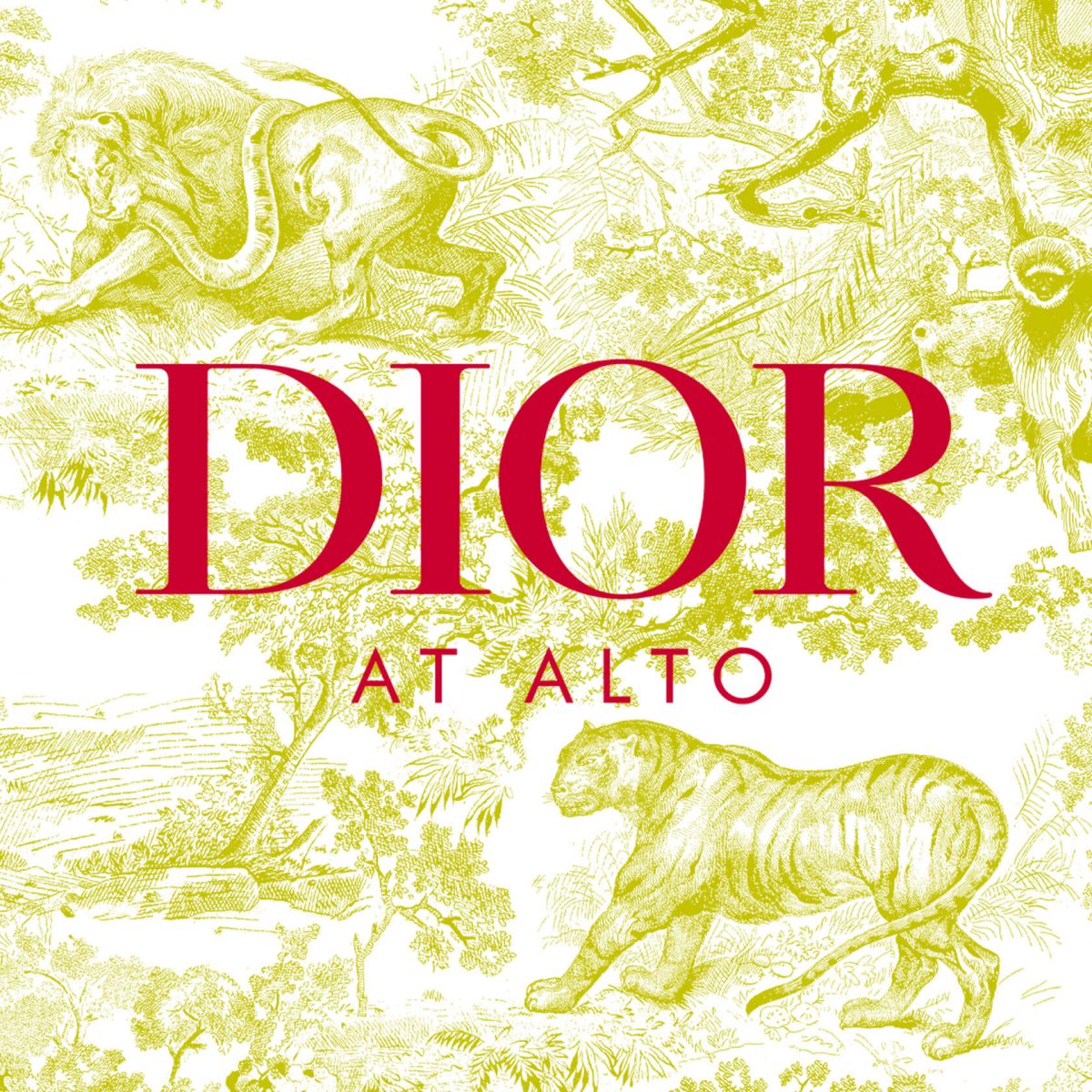 Alto Rooftop Restaurant Unique Italian Cuisine