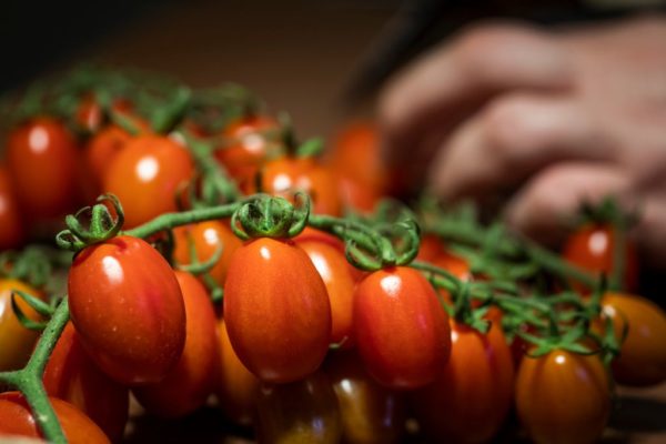 Vine cherry tomatoes